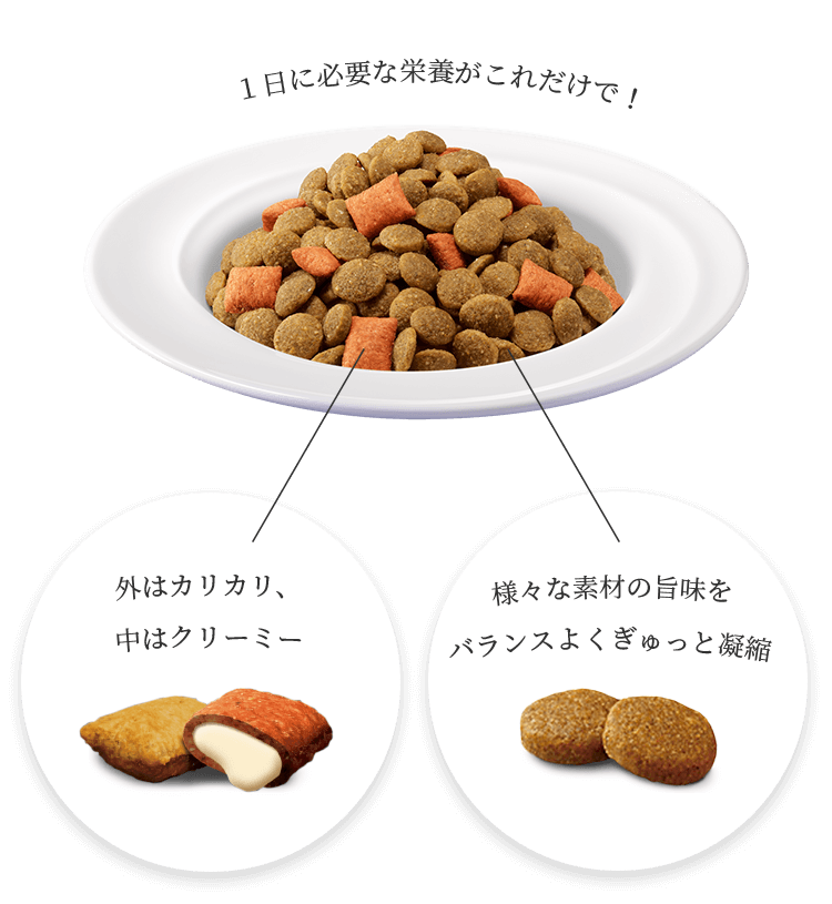 ＼総合栄養食／ １日に必要な栄養がこれだけで！
